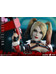 Batman Arkham Knight - Harley Quinn VMS - 1/6