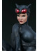 DC Comics - Catwoman Premium Format Figure