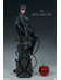 DC Comics - Catwoman Premium Format Figure