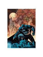 DC Comics - Batman, Catwoman and Poison Ivy Puzzle (1000 pieces)