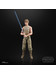 Star Wars Black Series - 40th Anniversary Luke Skywalker (Dagobah)