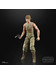 Star Wars Black Series - 40th Anniversary Luke Skywalker (Dagobah)