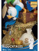 Disney D-Stage - DuckTales Diorama