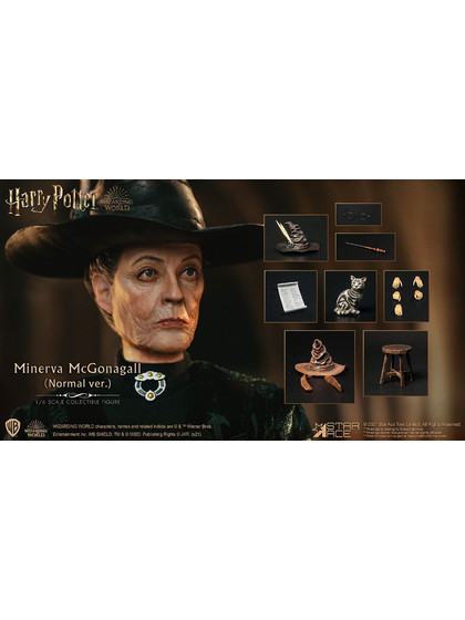 Harry Potter - Minerva McGonagall My Favourite Movie Action Figure - 1/6