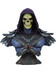 Masters of the Universe - Skeletor Legends Life-Size Bust - 1/1