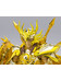 Saint Seiya: Soul of Gold - Libra Dohko (God Cloth) - SCME