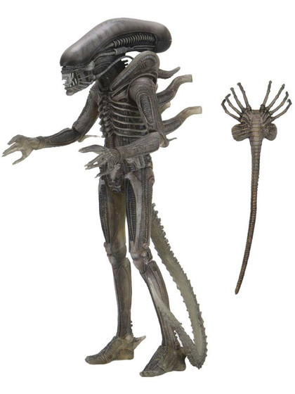 Alien - 40th Anniversary The Alien (Giger) - SKADAD FÖRPACKNING