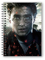 Harry Potter - Harry Potter Notebook with 3D Effect