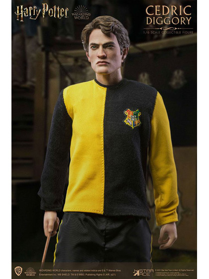 Harry Potter - Cedric Diggory My Favourite Movie Action Figure (Triwizard Ver.)