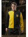 Harry Potter - Cedric Diggory My Favourite Movie Action Figure (Triwizard Ver.)