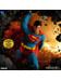 DC Comics  - Superman Man of Steel Edition - 1/12