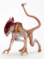 Aliens - Panther Alien (Kenner Tribute)