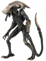 Alien vs Predator - Chrysalis Alien