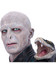 Harry Potter - Lord Voldemort Bust