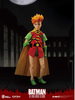 Batman: The Dark Knight Returns - Robin - Dynamic 8ction Heroes - 1/9