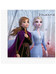 Frozen II - Elsa and Anna Paper Napkins 20-Pack