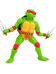 Teenage Mutant Ninja Turtles - Raphael - BST AXN