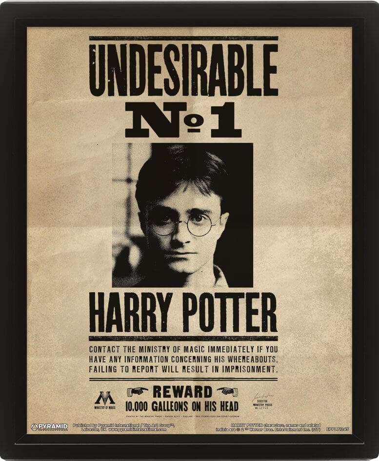 Läs mer om Harry Potter - Framed 3D Effect Poster Potter / Sirius