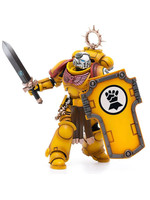 Warhammer 40,000 - Imperial Fists Veteran Brother Thracius - 1/18
