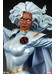 Marvel - Storm  Premium Format