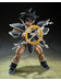 Dragon Ball Z - Tulece S.H. Figuarts