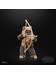 Star Wars Black Series: ROTJ 40th Anniversary - Wicket