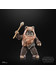 Star Wars Black Series: ROTJ 40th Anniversary - Wicket