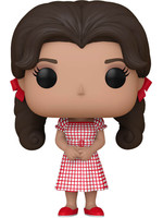 Funko POP! TV: Gilligan's Island - Mary Ann