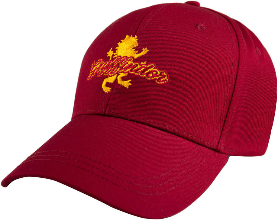 Harry Potter - Gryffindor Curved Bill Cap