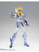 Saint Seiya - Cygnus Hyoga (Final Bronze Cloth)