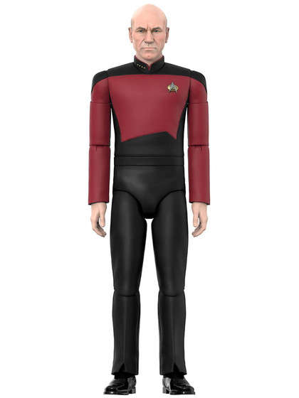 Star Trek: The Next Generation Ultimates - Captain Picard