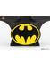 The Flash - Batman Cowl Replica - 1/1