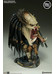 Aliens vs Predator - Wolf Predator Limited International Ver. Legendary Scale Bust - 1/2