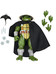 Teenage Mutant Ninja Turtles - Old Man Raphael (Mirage Comics)