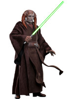 Star Wars Episode III: Revenge of the Sith - Saesee Tiin - 1/6 MMS