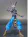 Dragonball Super - Beerus - S.H. Figuarts